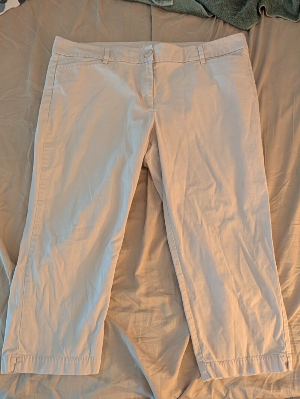 LOFT Beige Capri Pants